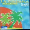 12inch Vinyl Single - Shaker - La Colegiala
