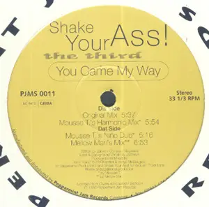 Shake Your Ass - Shake Your Ass! - The Third - You Came My Way