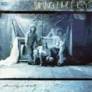 LP - Shaking Family - Dreaming In Detail