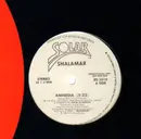 12inch Vinyl Single - Shalamar - Amnesia