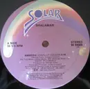 12inch Vinyl Single - Shalamar - Amnesia