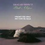 Shalabi Effect - pink abyss