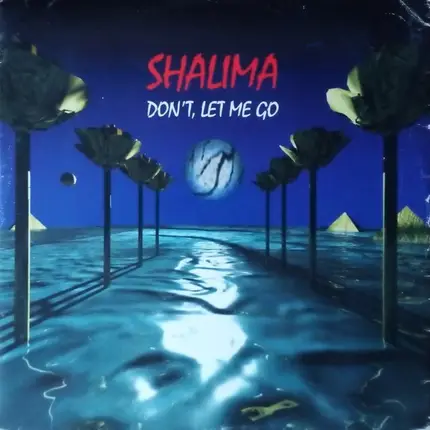 Shalima - Don't Let Me Go