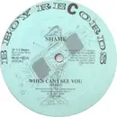 12inch Vinyl Single - Shame - When Can I See You?