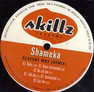 Shameka - Reasons Why (Remix)