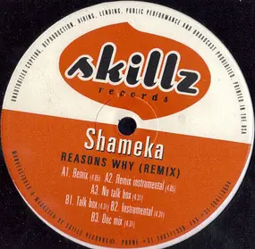 Shameka - Reasons Why (Remix)