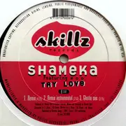 12inch Vinyl Single - Shameka - Try Love