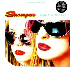 The Shampoo - I Know What Boys Like