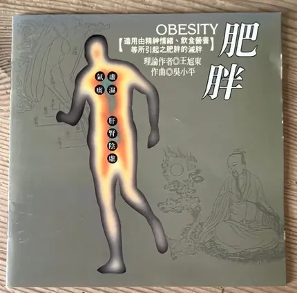 Shanghai Chinese Traditional Orchestra - Obesity