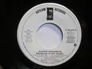 7inch Vinyl Single - Shandi Sinnamon - Rainbow In My Heart