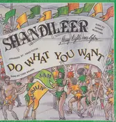 Shandileer - Do What You Want