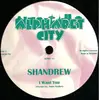 12'' - Shandrew - I Want You