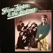 Shane Fenton & The Fentones - I'm a Moody Guy