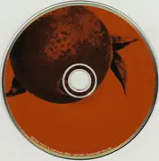 CD - Shannon Wright - Dyed In The Wool