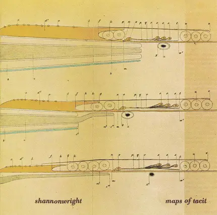Shannon Wright - Maps of Tacit