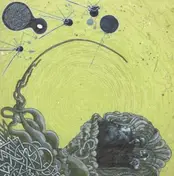 Shape of Broad Minds - OPR8R