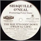 Shaquille O'Neal Featuring Peter Gunz - The Way It's Goin' Down (Twism For Life)