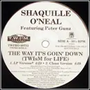 12inch Vinyl Single - Shaquille O'Neal Featuring Peter Gunz - The Way It's Goin' Down (Twism For Life)