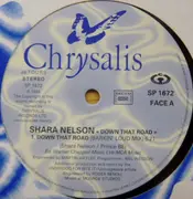 12inch Vinyl Single - Shara Nelson - Down That Road