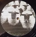 12inch Vinyl Single - Shards - 001