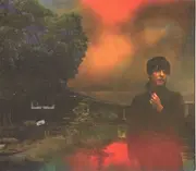CD - Sharon Van Etten - We've Been Going About This All Wrong - Cardboard Sleeve