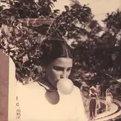 She Keeps Bees - Eight Houses