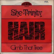 7inch Vinyl Single - She Trinity - Hair