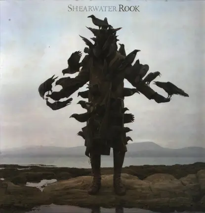 Shearwater - Rook