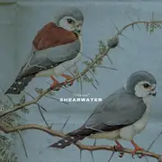 CD - Shearwater - Thieves