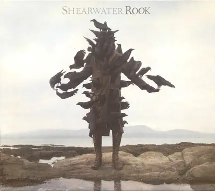 Shearwater - Rook