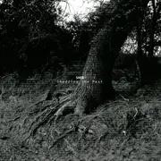 Double LP - Shed - Shedding The Past - 180g Vinyl