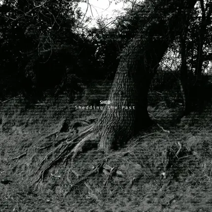 Shed - Shedding the Past