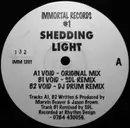 12inch Vinyl Single - Shedding Light - Void