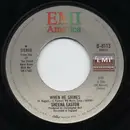 7inch Vinyl Single - Sheena Easton - When He Shines / Family Of One