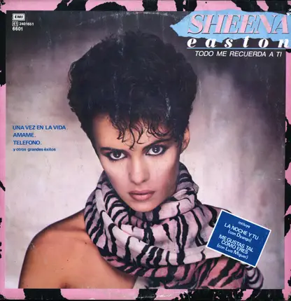 Sheena Easton - Todo Me Recuerda a Ti