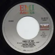 7inch Vinyl Single - Sheena Easton - When He Shines / Family Of One