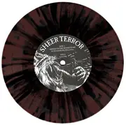 7inch Vinyl Single - Sheer Terror - Spite - Ltd. Ed.