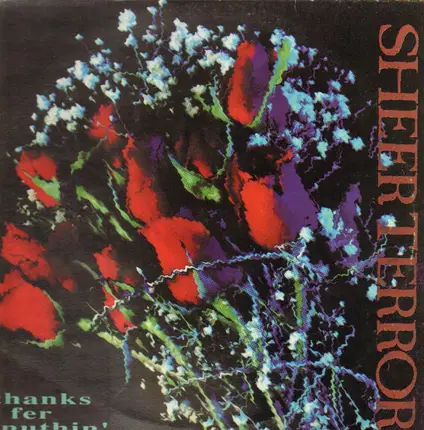 Sheer Terror - Thanks Fer Nuthin'
