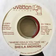 Sheila Andrews - Where Could You Take Me / Pretty Lies