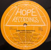 LP - Sheila Druck - Something Beautiful