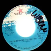 sheila tilton - I'm Beginning To see the Light / He's Comin' Home
