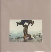 Shellac - Dude Incredible