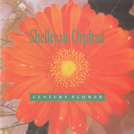 Shelleyan Orphan - Century Flower