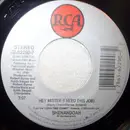 7inch Vinyl Single - Shenandoah - Hey Mister ( I Need This Job )