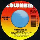 7inch Vinyl Single - Shenandoah - I Got You / The Road Not Taken