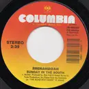 7inch Vinyl Single - Shenandoah - Sunday In The South
