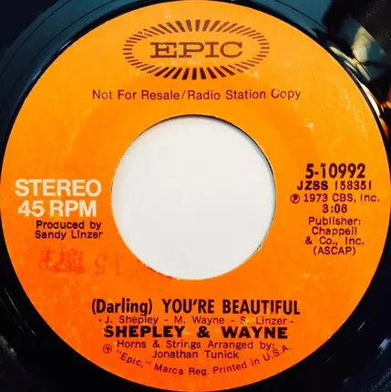 Shepley & Wayne - (Darling) You're Beautiful