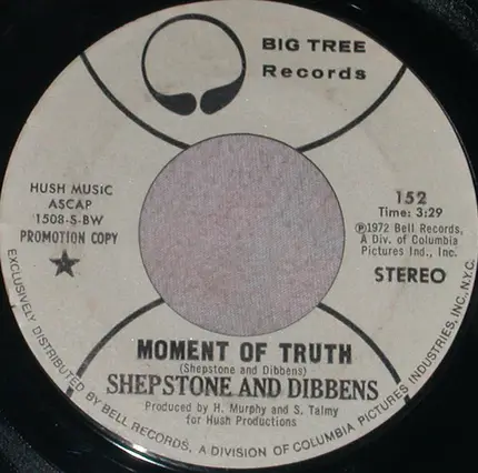 Shepstone & Dibbens - Moment Of Truth