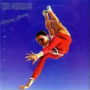 The Sherbs - Defying Gravity