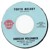 Sheridon Hollenbeck